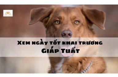 Ngày tốt khai trương tuổi Giáp Tuất