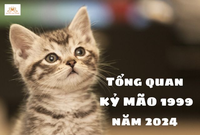 Xem ngày tốt khai trương cho tuổi kỷ mão 2024