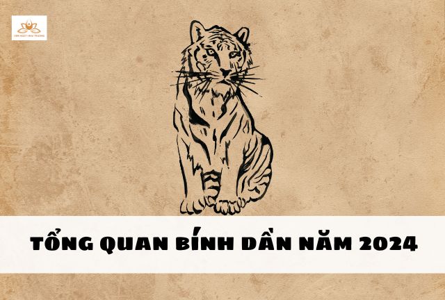 Tổng quan bính dần 2024